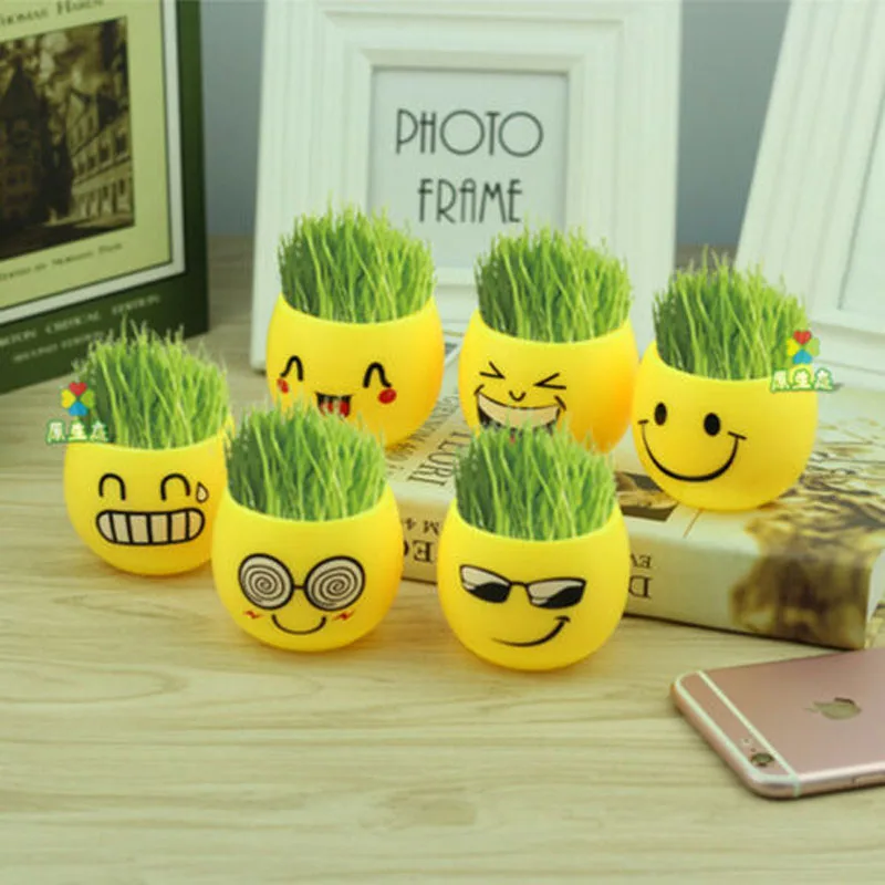 

2019 Brand New Style Expression Home OP Pot Desk Decor Emoji Bonsai Mini Hair Grass Plant