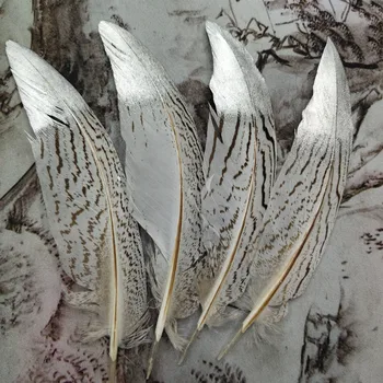 

50pcs 30-45cm/12-18inch Natural and Silver Silver Pheasant Tail Feather Wedding/Dance recital/Party/Halloween/Home decoration