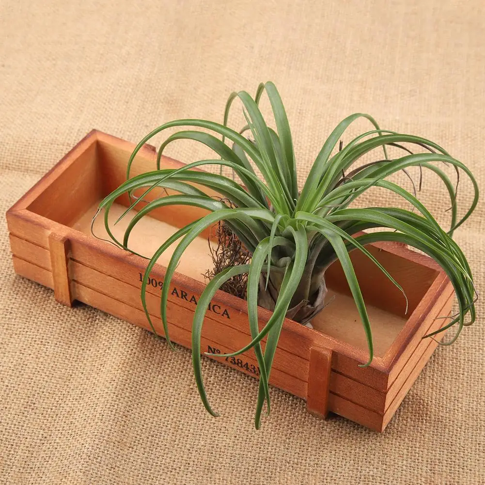 

Vintage Wood Flower Planter Succulent Pot Rectangle Box for Home Desktop Storage Tray Pot