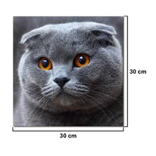 1PC Non-Woven Animal Oil Painting On Canvas Posters On The Wall Picture Wall Art Home Decoration 1PC Non-Woven Animal Oil Painting On Canvas Posters On The Wall Picture Wall Art Home Decoration