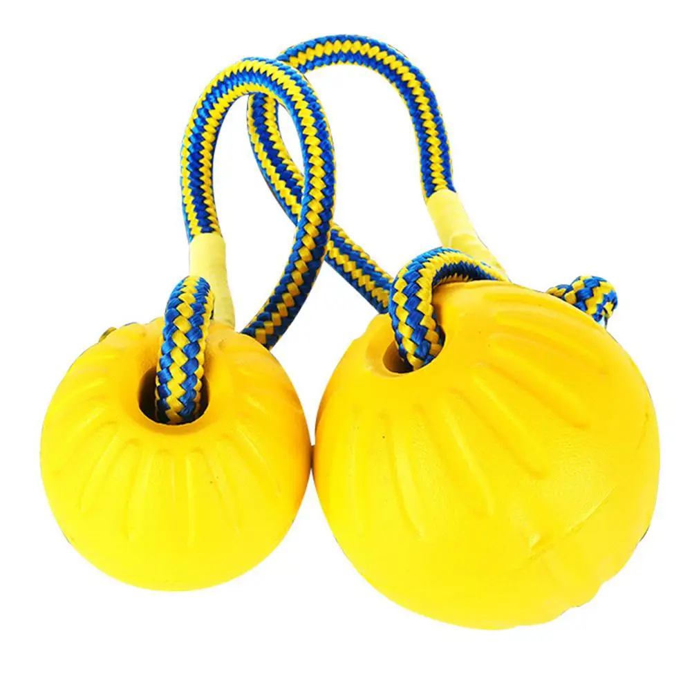 

AsyPets Funny Bite Resistant Training Ball Chew Toy with Rope for Pet Dog