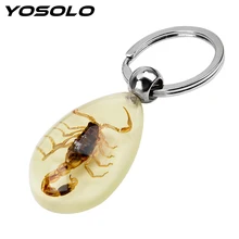 YOSOLO автомобильный брелок для ключей, фосфоресцирующий брелок, Скорпион, янтарный кулон, сумочка, кошелек, подвеска, креативный Скорпион, брелоки