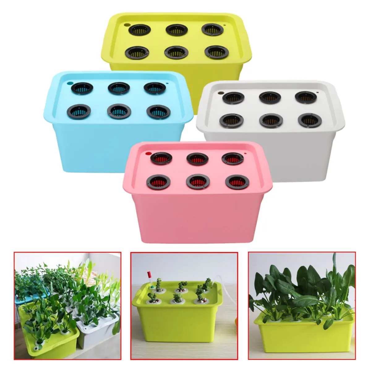 220V Hydroponic System Kit 6 Holes DWC Aerobic Soilless Cultivation Indoor Water Planting Grow Box 220V Hydroponic System Kit 6 Holes DWC Aerobic Soilless Cultivation Indoor Water Planting Grow Box