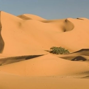 Марокко Tafilalt MERZOUGA Erg Chebbi Desert плакат печать Уолтер бибиков (34x23)|Таблички и знаки| |