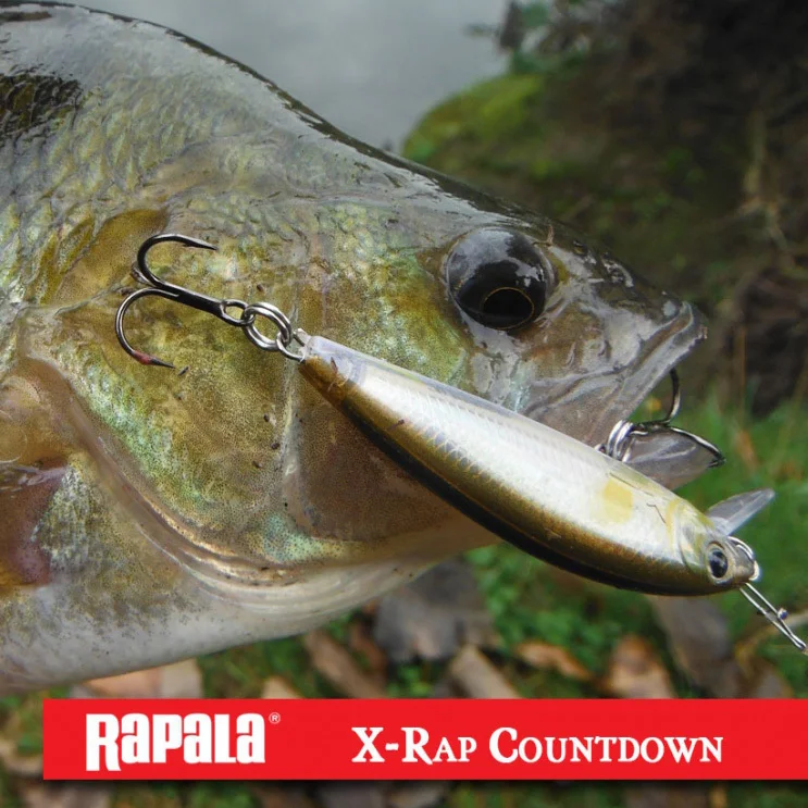 Rapala X-RAP обратного отсчета XRCD07 7 см/10 г погружение 0,9-1,5 м приманка для рыбалки искусственная приманка жесткая блесна для литья и троллинга 3D BADY