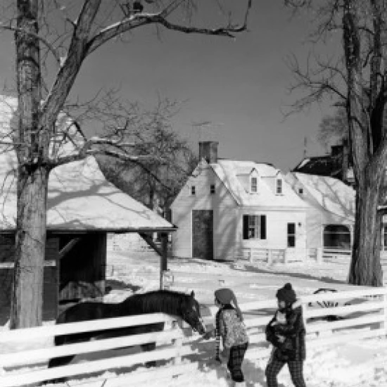 Pair of children feeding horse in winter scenery Poster Print (18 x 24) | Дом и сад