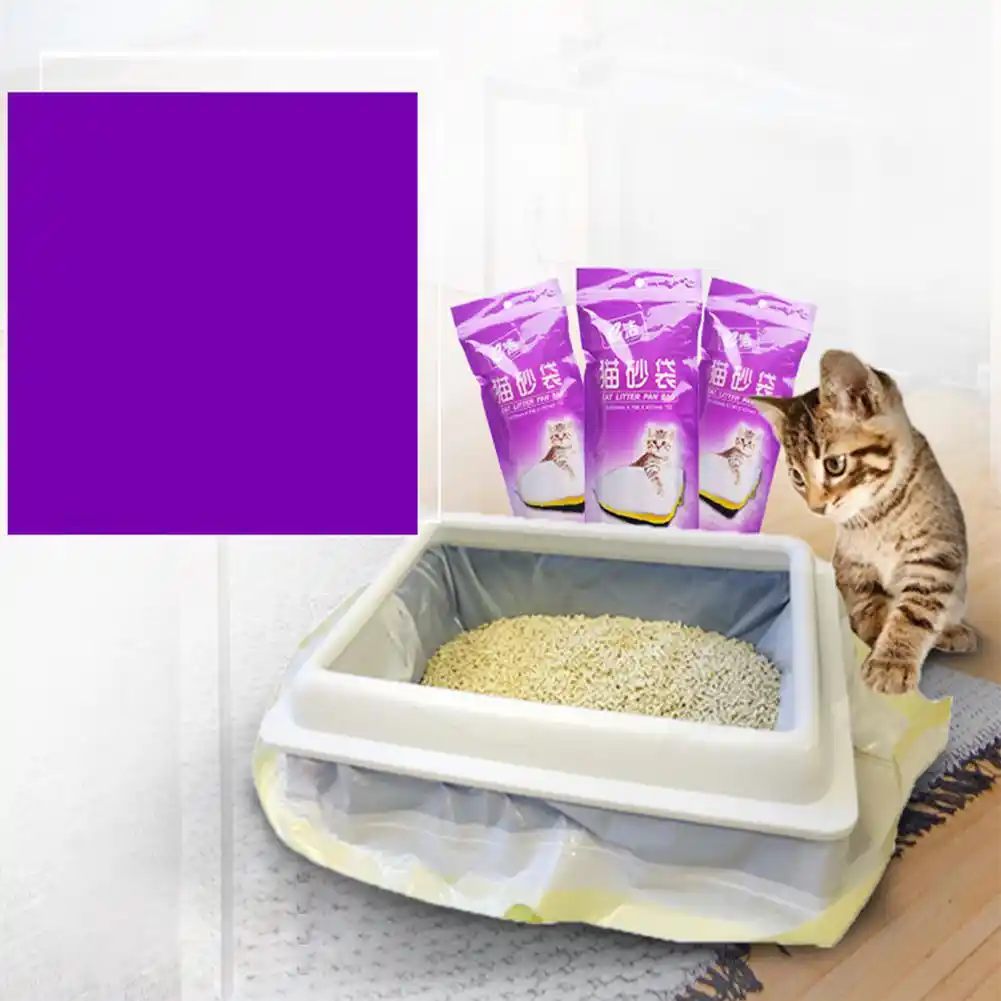 Cat Box Зоомагазин Интернет Магазин Спб