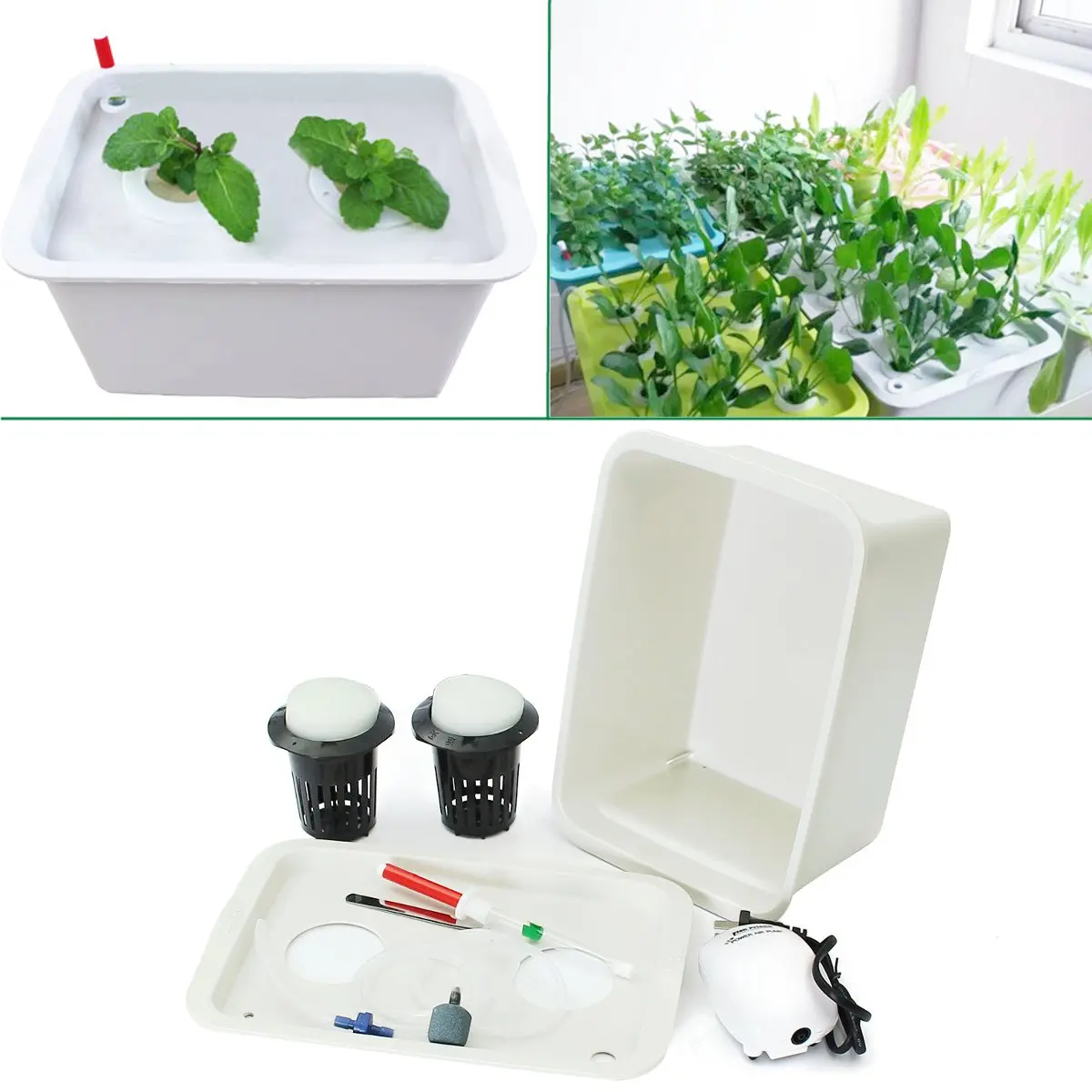 220V Hydroponic System Nursery Pots Plants Grow Kit Water Planting Soilless 2 Holes Garden Home Indoor Cabinet Case