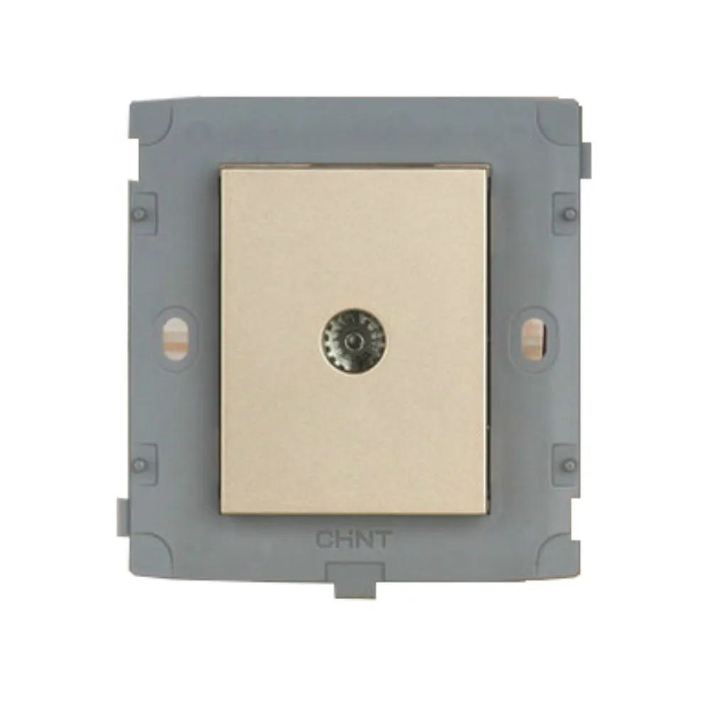 

CHINT Electric NEW2K TV Socket Module Light Champagne Gold For Residential/General-Purpose Free Shipping