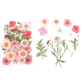 

DIY Pink Dried Flower Material Package 11 Flowers 35 Embossed With Face Makeup Wooden Bookmark Mobile Phone Shell Artwork