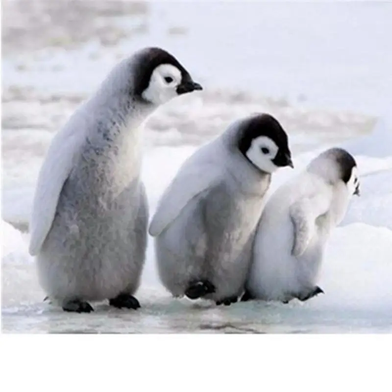 Full Drill Square Three Lovely Penguins Diamond Painting Kit - DIY Cross Stitch Rhinestone Mosaic | Дом и сад
