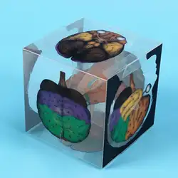 DIY Собранный человеческий мозг Модель куба небольшой экспериментальный посылка мини модель игрушки для детей Творческий эксперимент