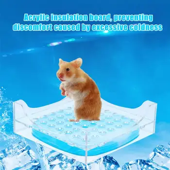 

Pet Small Recycled Cooling Bed Summer Heat Cooling Plate Hamster Ice Box Crystal Cooling Box No Need Fill Water For Small Pet