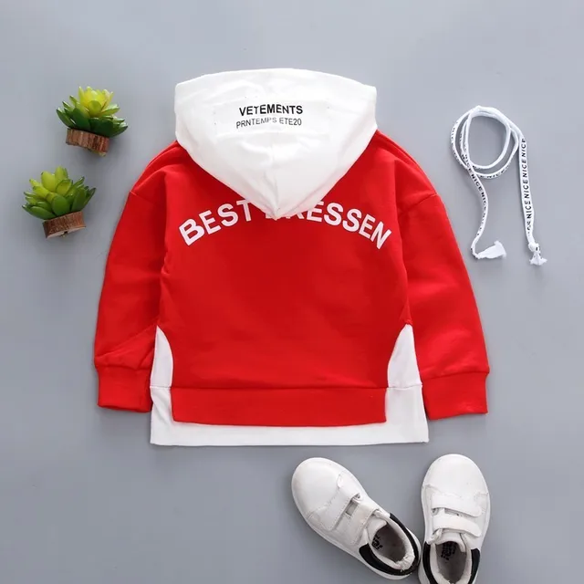 Spring Autumn Children Clothes Baby Boys Girls Cotton Leisure Hooded Sweatshirts Kids Letter Blouse Hoodies Tops For 0-5 Years 2