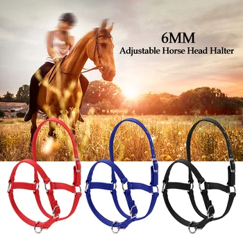 

2019 Professional 6MM Thickened Horse Head Collar Adjustable Safety Halter Bridle Headcollar Horse equipment Horse Riding gloves