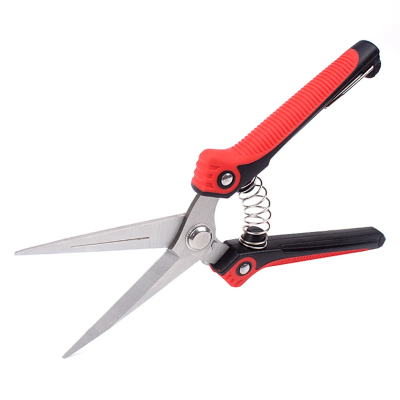 

Professional Stainless Steel Pointed Orchard Picking Grape Fruit And Vegetable Thin Scissors Pruning Fruit Branch Shears