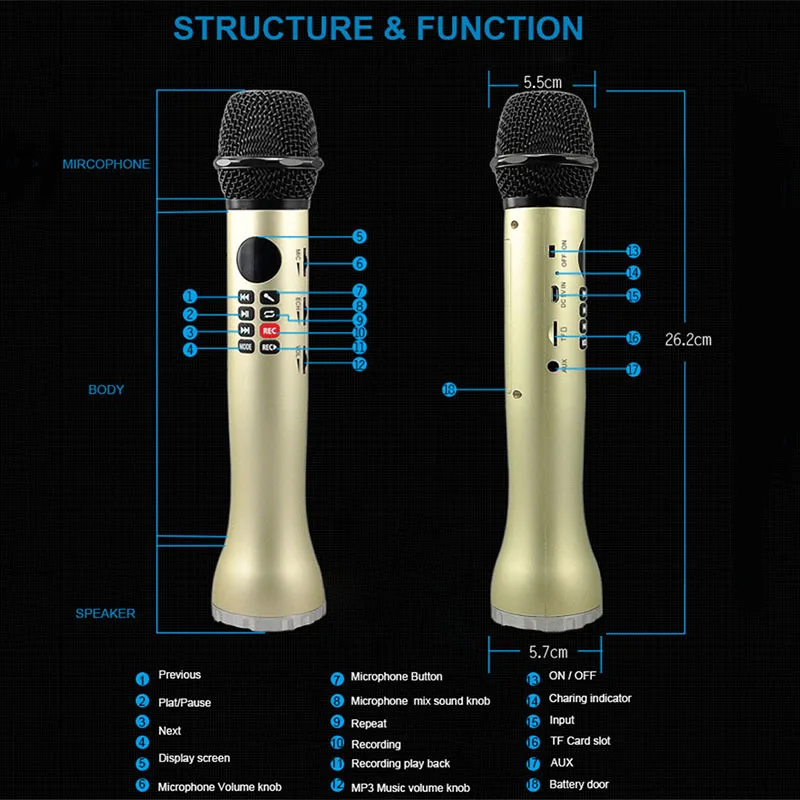 L-598 лучший профессиональный 9 Вт мини usb беспроводной bluetooth караоке микрофон для учителя гид с записью диктофона