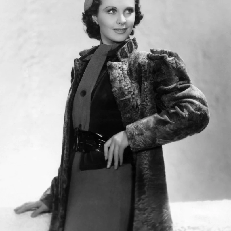 Vivien Leigh In A Gray мутоновая шуба 1937 фото печать (16x20)|Таблички и знаки| |
