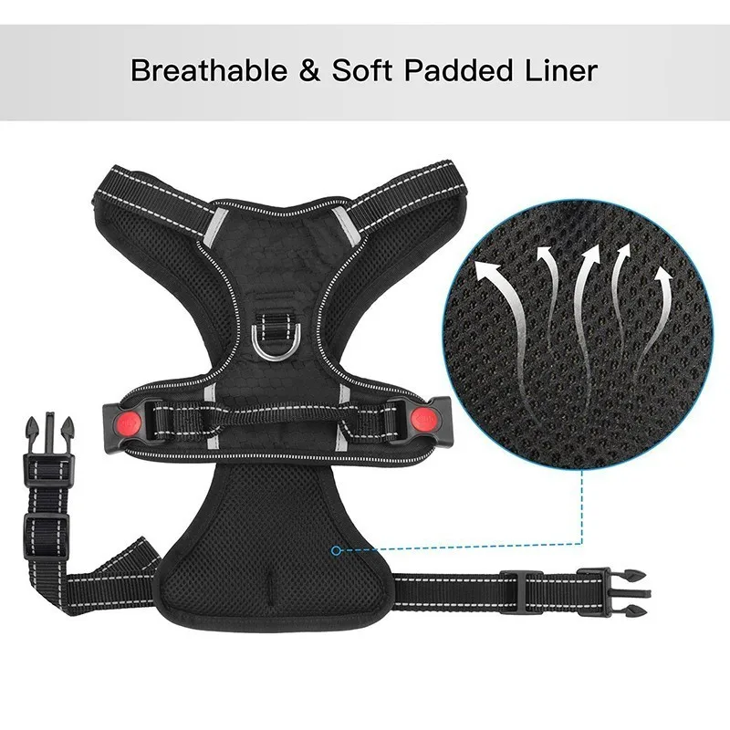 43254-df4b6a.jpg