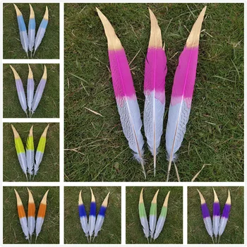 

100 pcs Scarce Natural Silver Pheasant Tail Feather 70-75cm/28-30inches Wedding/Dance recital/Party/Halloween/Home decoration