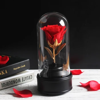 

Beauty and The Beast Eternal Rose In Glass with Rotating Music Box Immortal Flower Valentine's Day Birthday Gift for Girlfriend
