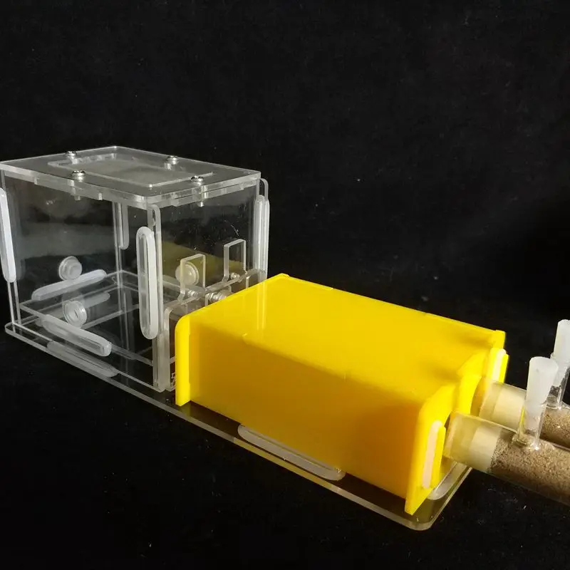 

1PCS Pet Ant Nest Acrylic Test with Ant Area Tube Nest Double Tube Plane Test with Shading Partition Ant Farm