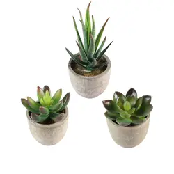3 шт декоративный искусственный сочные искусственные мясистые растения поддельные декоративные растения с Pots