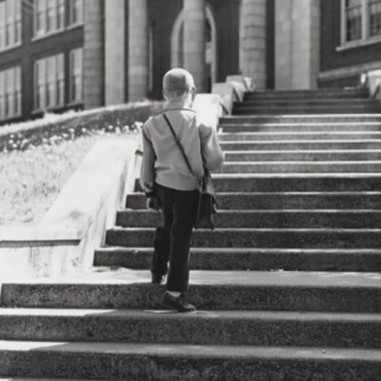 Rear view of a schoolboy climbing up staircase to school Poster Print (24 x 36) | Дом и сад
