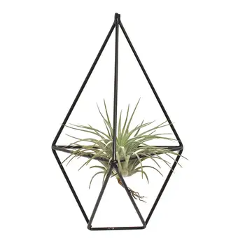 

1 Pcs Rustic Wall Mount Hanging Irregular Pentagon Geometric iron Tillandsia Air Plants Holder Rack Black Wall Accent Decor (B