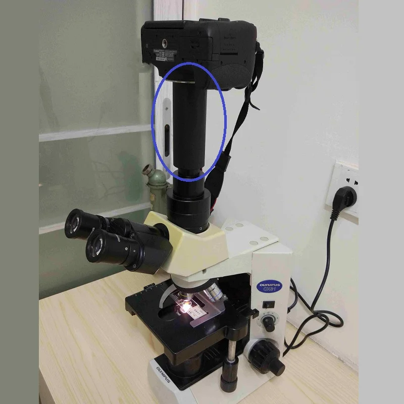  Canon EOS Nikon SLR Digital Camera to M42 to C Mount Adapter Lens Optical Full Image f/ Microscope 