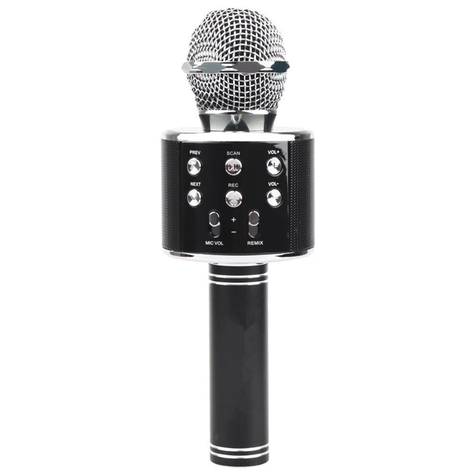microphone speaker portable