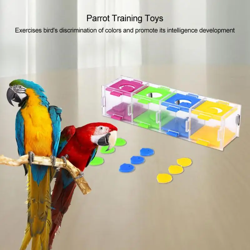 bird puzzle toys