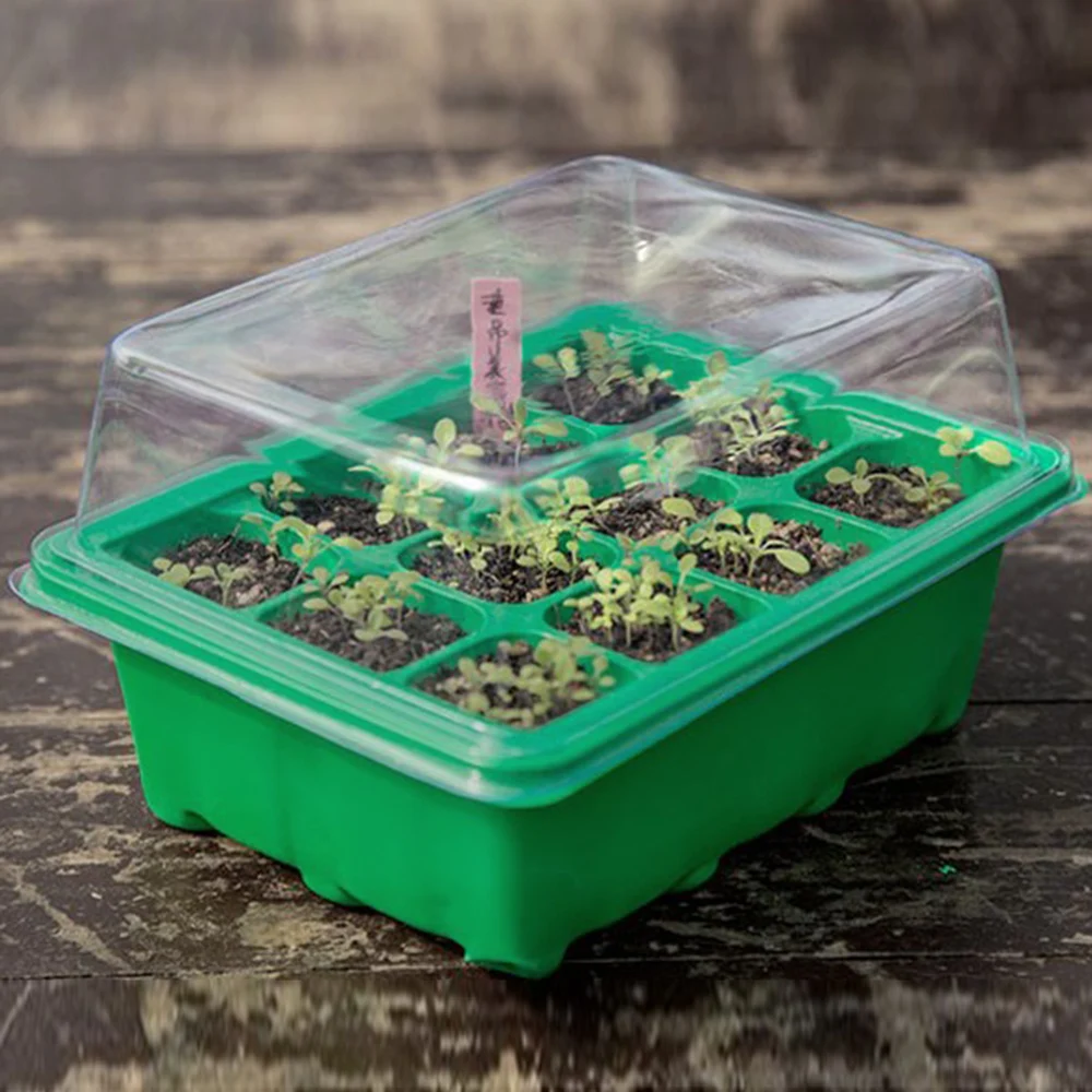 

Seedling Tray Sprout Plate Nursery Pots Tray Lids Box for Gardening Bonsai 9/10/12 Cavity with Dome and Base