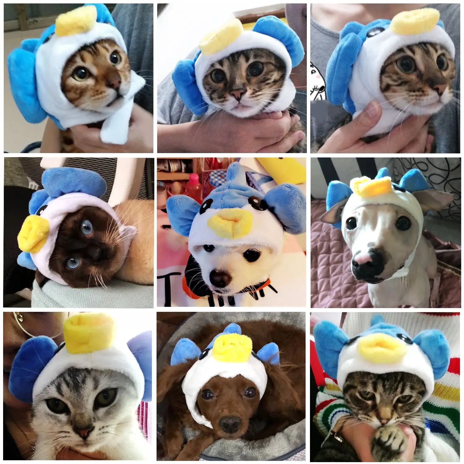 Новинка 2019 Забавный милый костюм кота Шапочка лягушка в виде льва тигра кролика