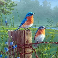 Фото на заказ! Алмазная вышивка декорация картина 5D DIY Алмазная картина вышивка крестиком синие птицы полный горный хрусталь наклеенные ремесла