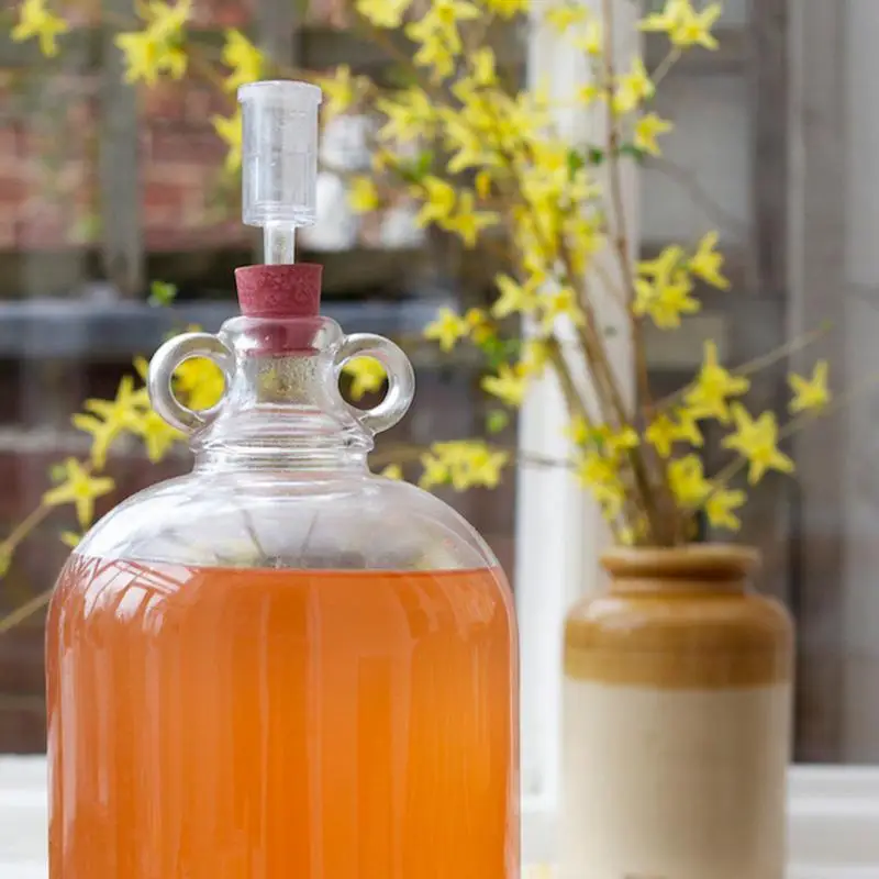 1 ST Bier Duurzaam Cilinder Fermentor Luchtsluis Een Manier Uitlaat Water Verzegelde Terugslagklep Voor Wijn Gisting Maken|Пивоварение| |