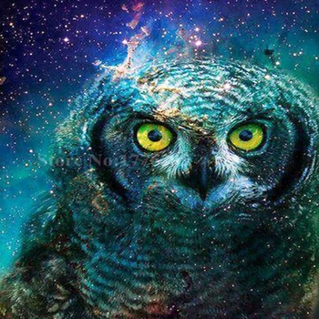 

5D Diy Full Square Round Diamond Painting Mosaic Mysterious Sky Owl Rhinestone Embroidery Cross Stitch Home Decor Ation Gift