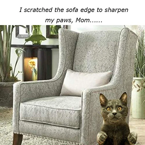 Защита для мебели с царапинами для кошек, 16 дюймов X 12 дюймов гибкий сизаль-кошка для диванов с нейлоновая пряжка