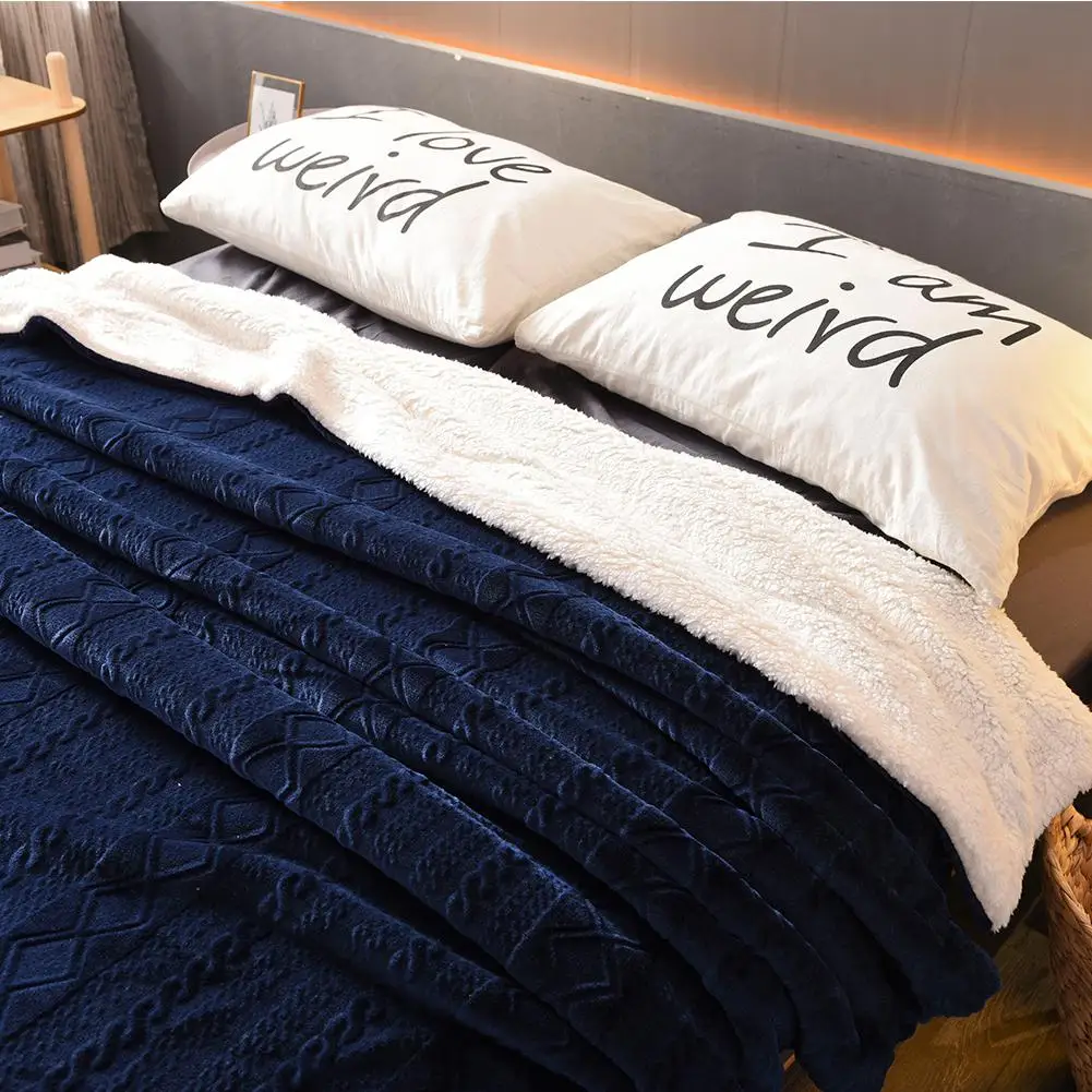 

Thicken Berber Fleece Blanket Double Layer Plush Fleece for Beds Sofa Throw Blanket Bedspread