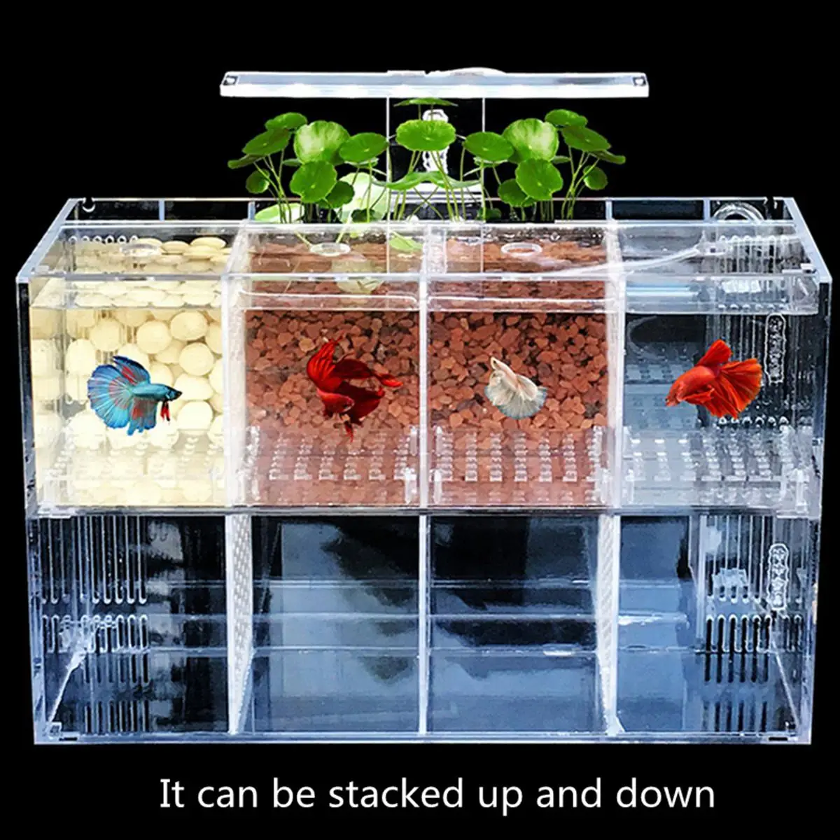 

Aquarium Pet Betta Fish Tank Mini Desktop LED Light Acrylic Transparent Isolation Free Water Pump Filters Clear Bucket Fish Tank