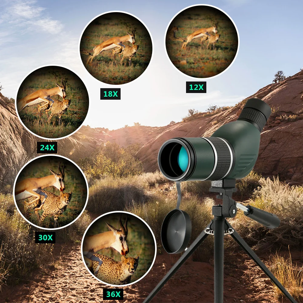 12-36x50 Hunting Monocular Travel Scope Spotting Scope Telescope Waterproof Birdwatch with Tripod Case for Camping Backpack