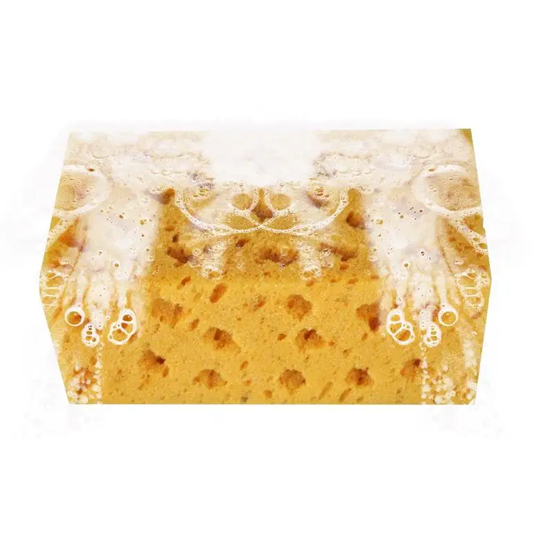 21*11*9cm Large Sponge Coral Sponge Super Absorbent Sponge