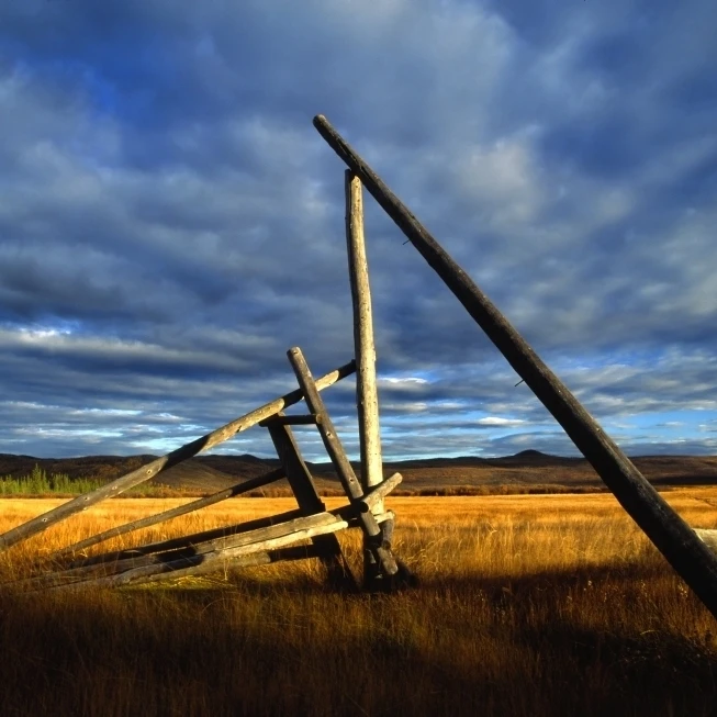 Старая усадьба возле Pelly Crossing Yukon. Постер (36x24) | Дом и сад