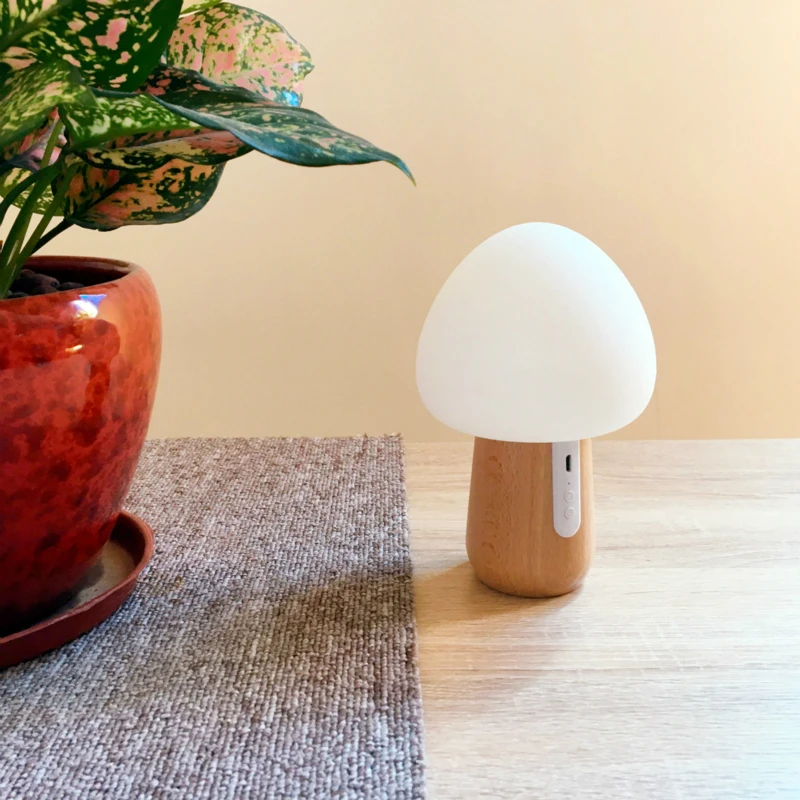 

DE.SOUL LED Small Desk Lamp Remote Control Colourful Charge Small Night-light Beech Solid Wood Base Small Desk Lamp