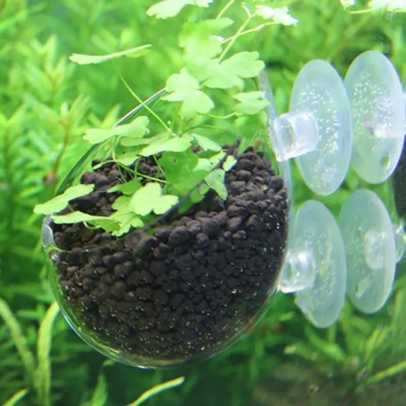 Водные растения пейзажи горшки чашки Мини красные креветки аквариумные рыбки Хрустальная стеклянная чашка для растений держатель