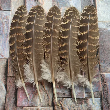 

Wholesale Beautiful 100pcs precious natural pheasant feather 13-18cm For Wedding Christmas Home Craft New Year decoration