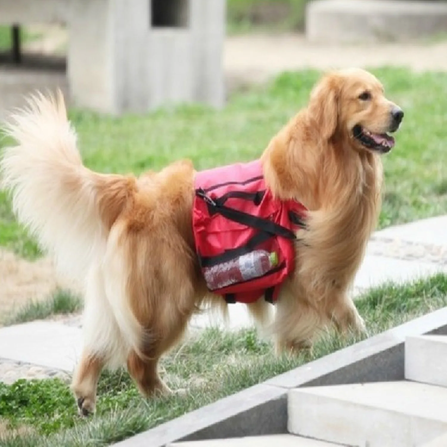 

Behogar Adjustable Oxford Pet Dog Travel Saddlebag Training Camping Hiking Pack Bags Backpack Harness with Folding Bowl