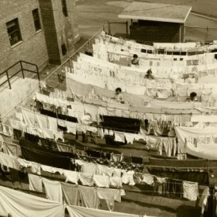 High angle view of clothes hanging on clotheslines Poster Print (18 x 24) | Дом и сад