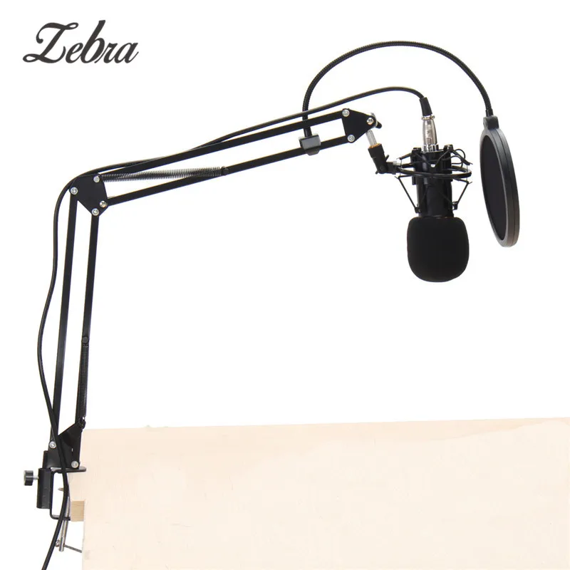 

BM800 Condenser Microphone Dynamic System Kit Shock Mount Boom Stand Studio Pro Audio Microphone Sound Studio Dynamic Mic