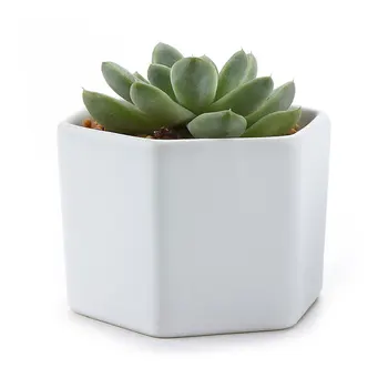 

Ceramic Six Semi Luster Surface Succulent Cactus Plant Pot Flower Pot/container/planter Matt White